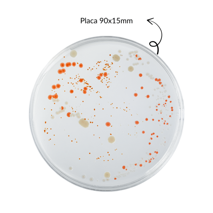 Placa De Petri Comum 90x15mm Lisa Pacote c/200 - Cralplast - IMAGEM m 2